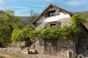 La petite châtaigne